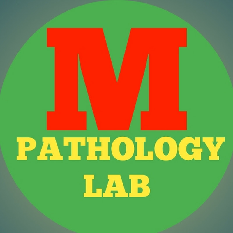 MEHER PATHOLOGY LAB