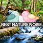 BEST NATURE NOISE  logo