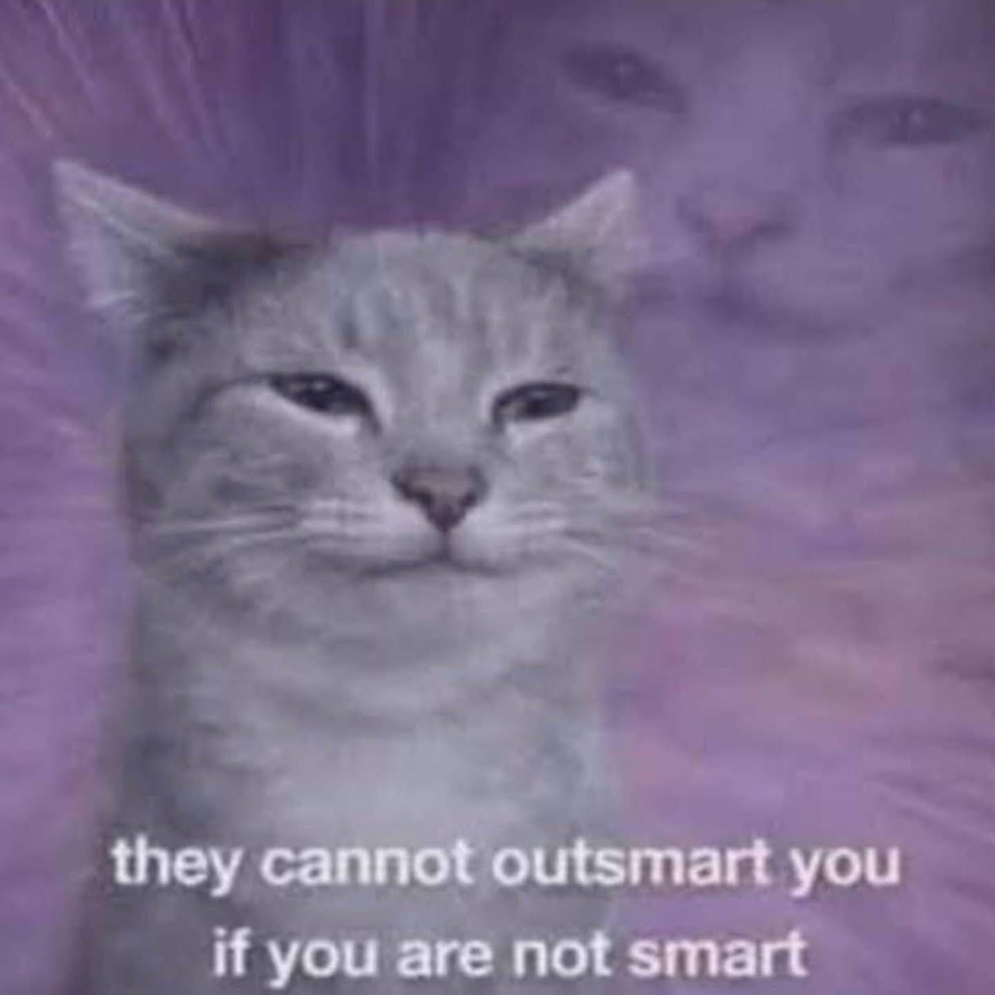 Post from ProtoMario