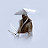 @sergey_ts725's avatar