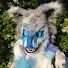 hoKuUp5dYNQ-channel-avatar-Solar Dog Misha