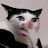 @Kittypov-j6y