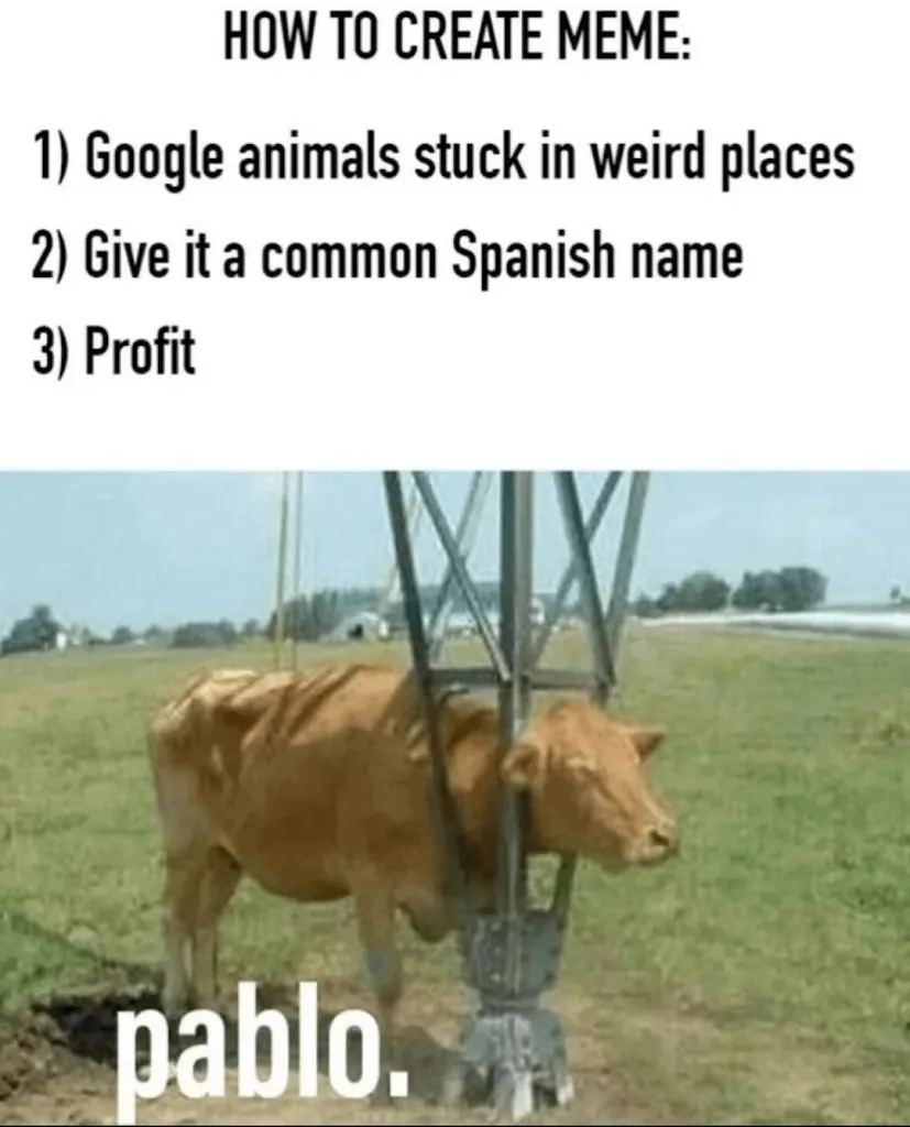 Gx1AhEHTrl_-EqkgDmRMjlZDOXVlJDEAp9WleJvA