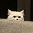 Photo of @Wazonex2137