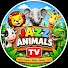 fsfTRXZjq34-channel-avatar-Jazz Animals TV