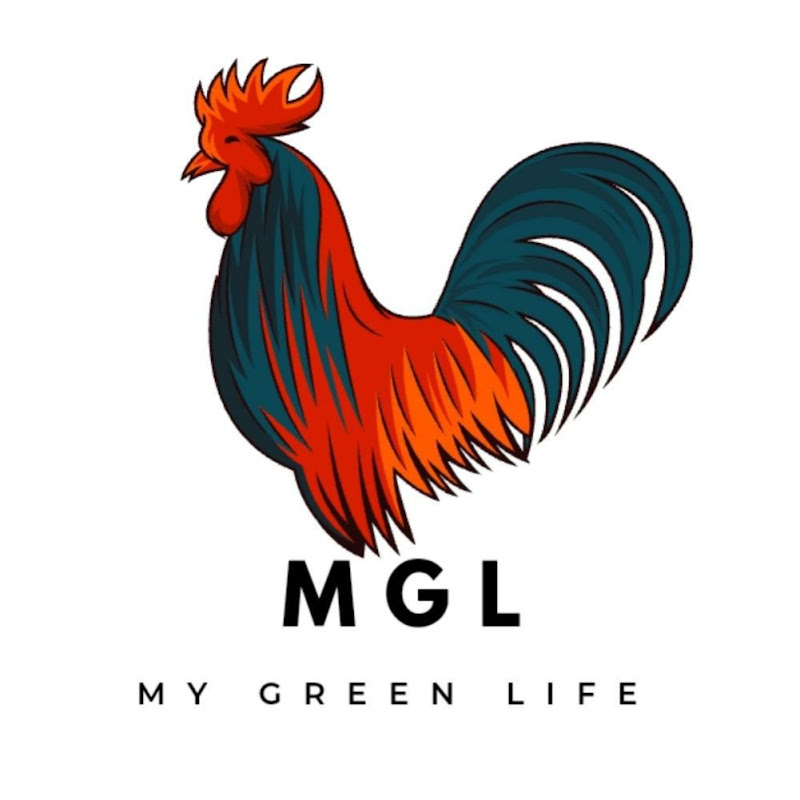 My Green life