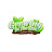@growingintheraq