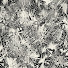 OVsYrsQTfqI-channel-avatar-White Noise Radio