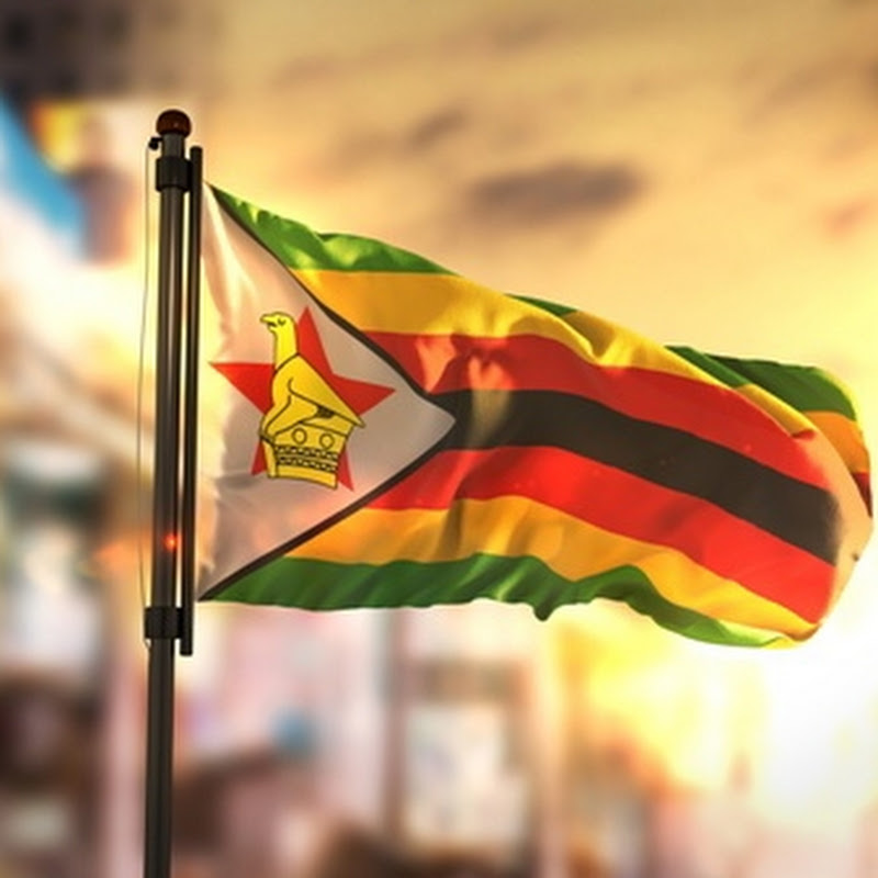 Zim News Live YTS