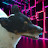 @MisaTheDog Avatar