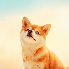 Mechanical keyboard customization