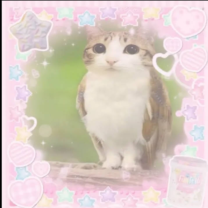 ⑅◡̈*♡⭐︎そら☪️⭐︎さま⑅◡̈*♡専用 YouTube