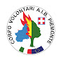 Corpo Volontari AIB Piemonte logo