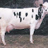 gPNowIqvPnM-channel-avatar-Vadiya Farm