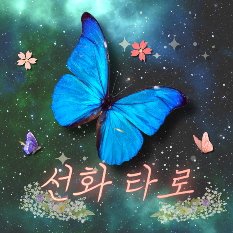 선화타로 Logo