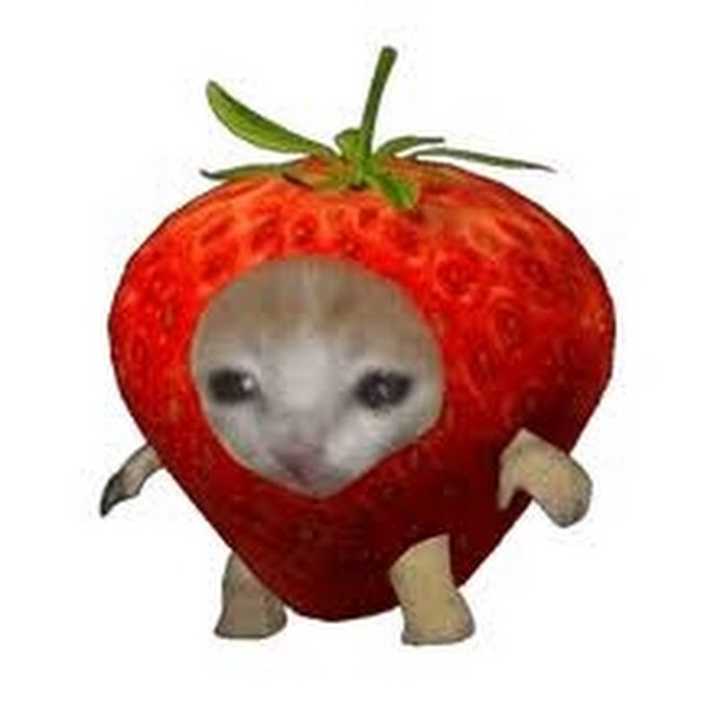 Clipze