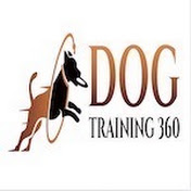 Dog Training 360