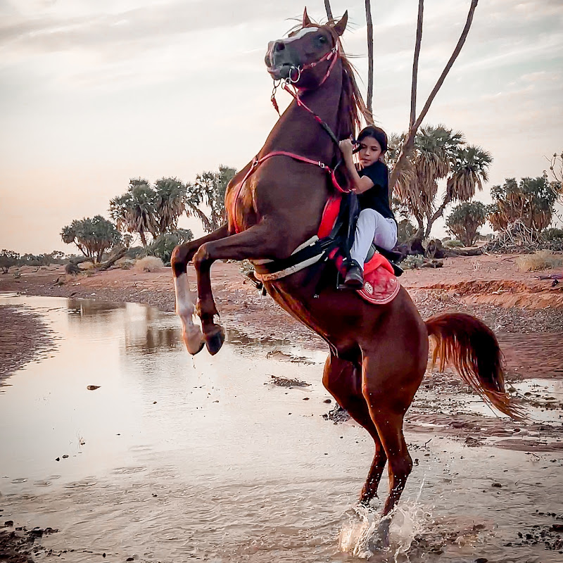 رائد العوفي ابوجود