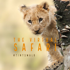The Virtual Safari @Tintswalo net worth