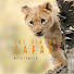 aC9QdkMFoTM-channel-avatar-The Virtual Safari @ Tintswalo