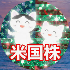 ふぁん丸の米国株ファンチャンネル!事実陳列こそ真だ【FANG+いけ!S&P500最強!NISA応援】アイコン画像