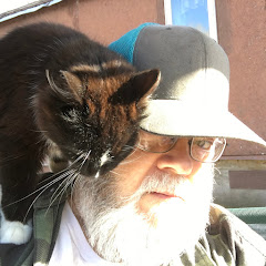 DIY With A Guy In The Chair net worth