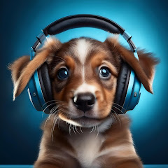 Música de relajación para perros - Topic