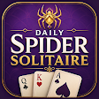 Daily Spider Solitaire icon