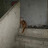 @MOHAMED___787-M