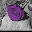 @Nada-y6b-w3v