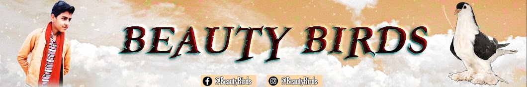 Beauty Birds Banner