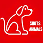 ShotsAnimals