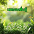 C58nwRBW7jA-channel-avatar-เพลงตื่นรู้