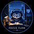 iKSWi6eUdYY-channel-avatar-Focus Flow