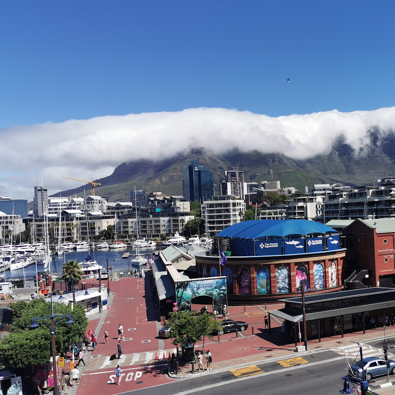 Scenic Watch: Aquarium, V&A Waterfront logo