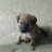 @luckydays8239 Avatar