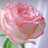 @MaiMahmoud-m7t