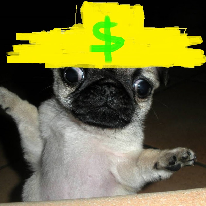 Channel Avatar