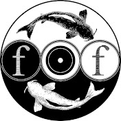Foolish Fish