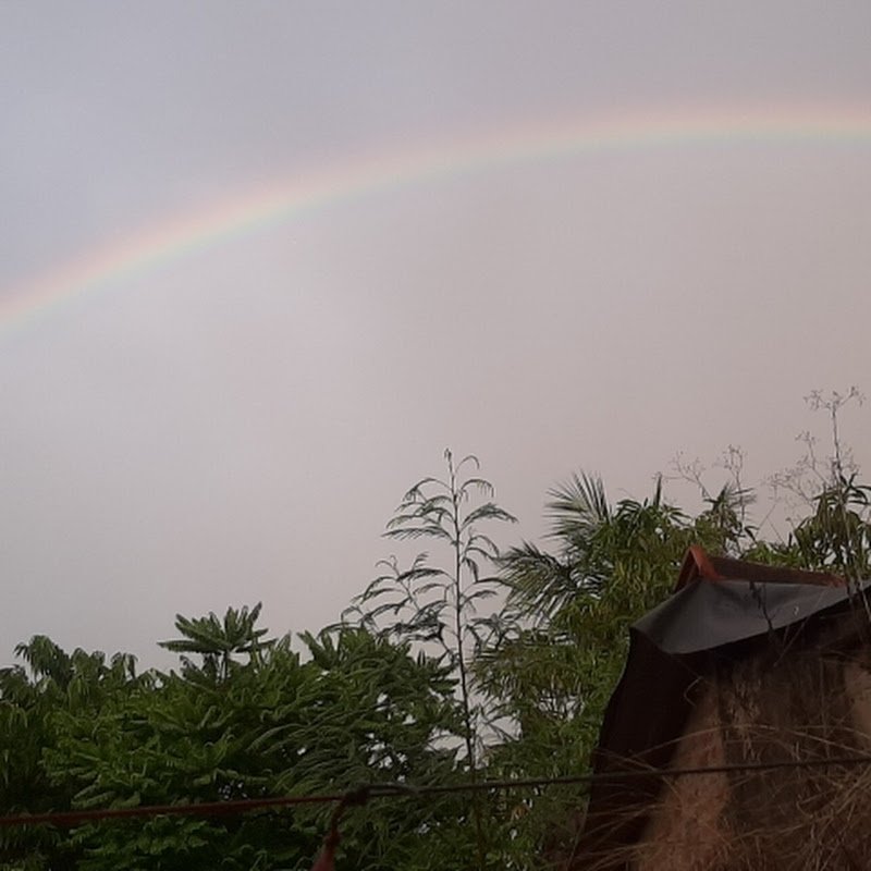 Vanampadi paravaigal