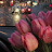 @abOmar98652