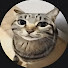 ytABfRa9GpI-channel-avatar-Jaffa