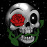 U8ezuDS0cvA-channel-avatar-Skellybeanz