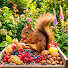 vuowkb2jewQ-channel-avatar-Squirrel’s Cozy Home