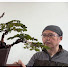 dk1jc64_-Yw-channel-avatar-Great North Bonsai