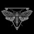 8sEEx2Oqfn4-channel-avatar-Sound From Nowhere