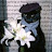 @Gentle_cat-catsss