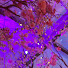 2UE0aefRwVE-channel-avatar-eyewonder