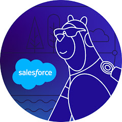 Salesforce Developers