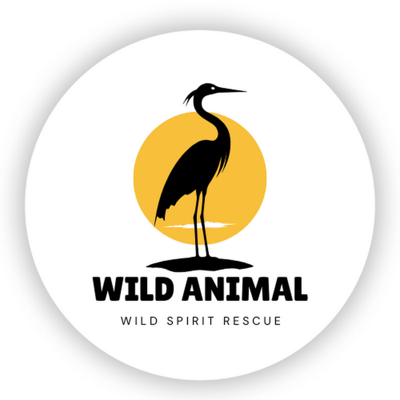 Wild Spirit Rescue